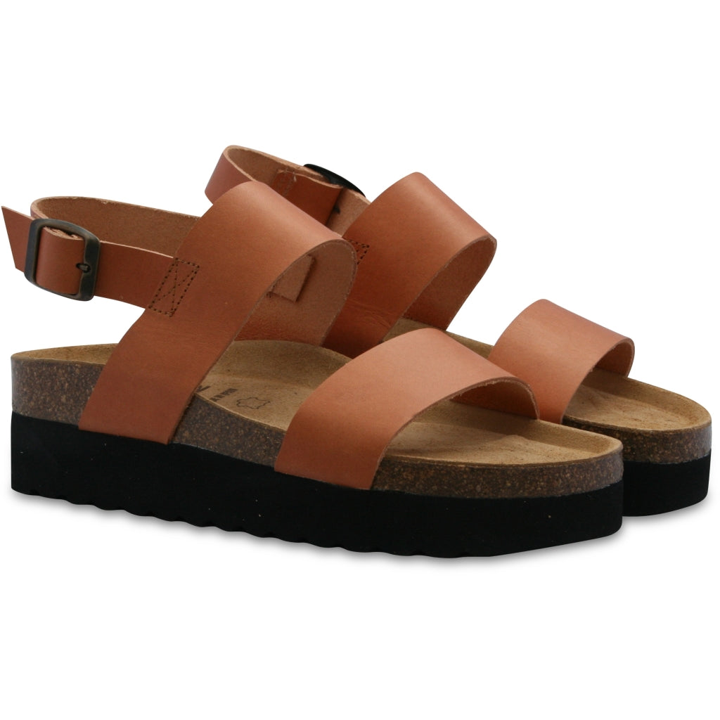 ORIGINAL SIN MajaOS - Cognac