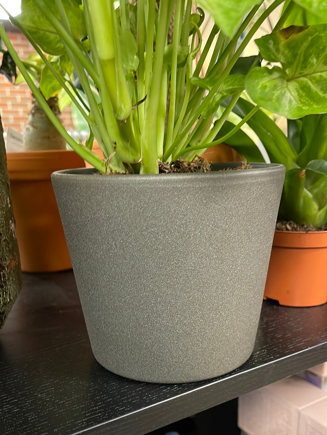 Keramiek pot donker grijs 15cm