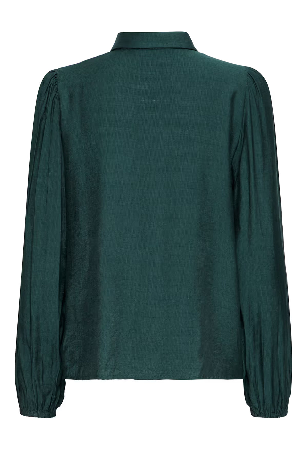 ICHI IHRhines SH2 Ponderosa Pine