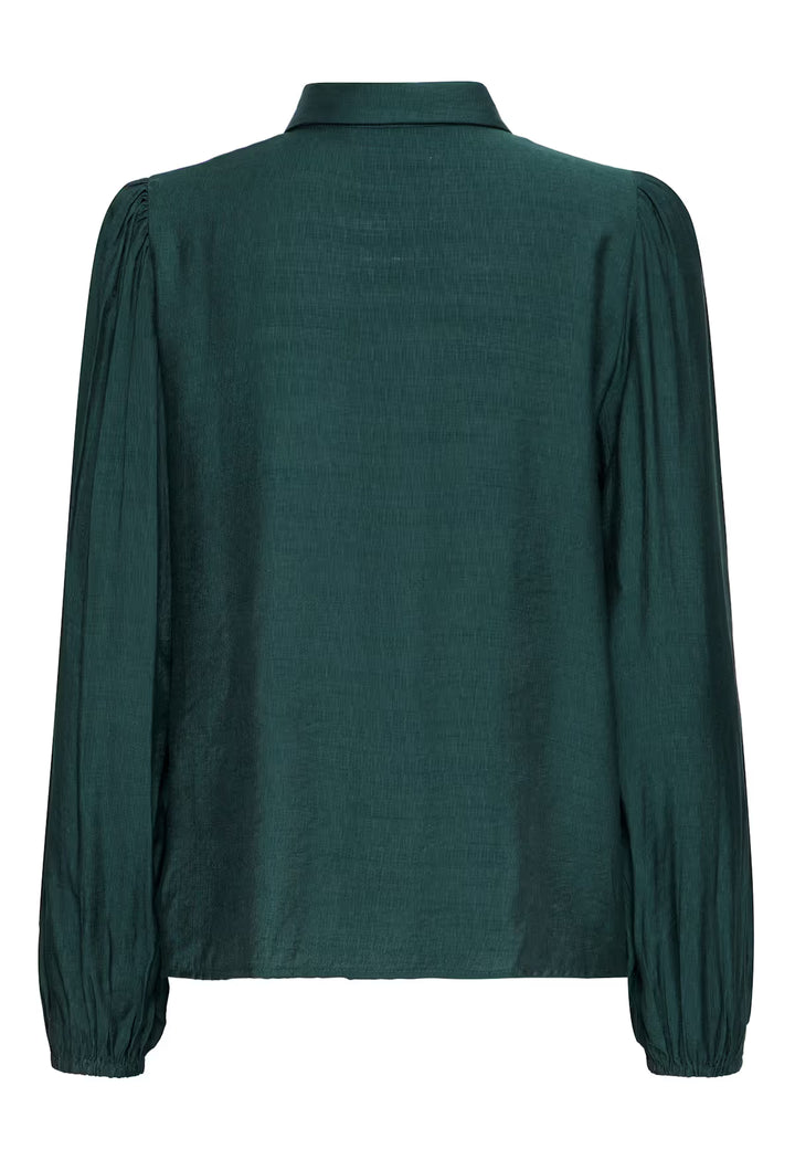 ICHI IHRhines SH2 Ponderosa Pine